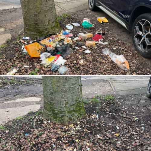Harrow Litter Pickers photo 23
