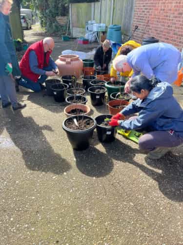 Harrow Litter Pickers photo 28